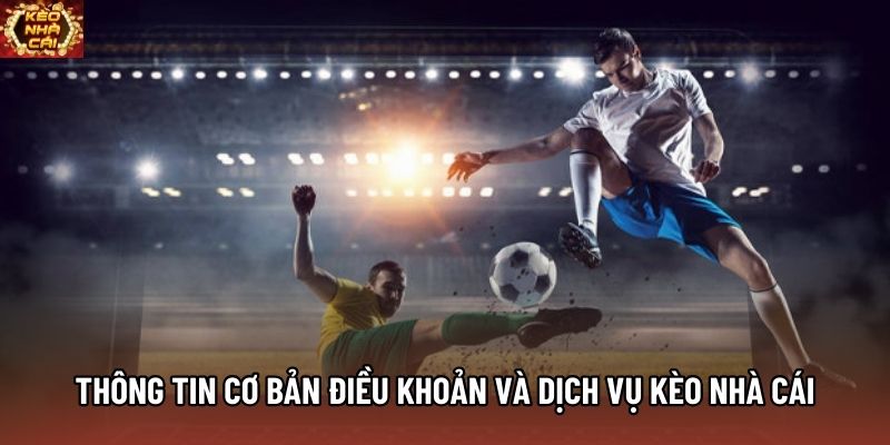 Thông tin cơ bản điều khoản và dịch vụ Kèo Nhà Cái