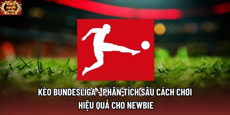 Kèo Bundesliga - Phân Tích Sâu Cách Chơi Hiệu Quả Cho Newbie