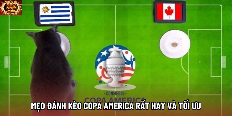 Mẹo đánh kèo Copa America rất hay và tối ưu Mẹo đánh kèo Copa America rất hay và tối ưu