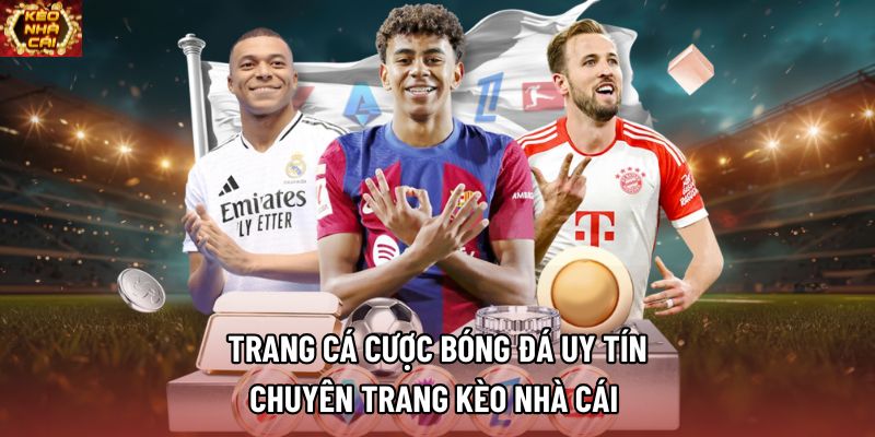 Trang Cá Cược Bóng Đá Uy Tín, Chuyên Trang Kèo Nhà Cái