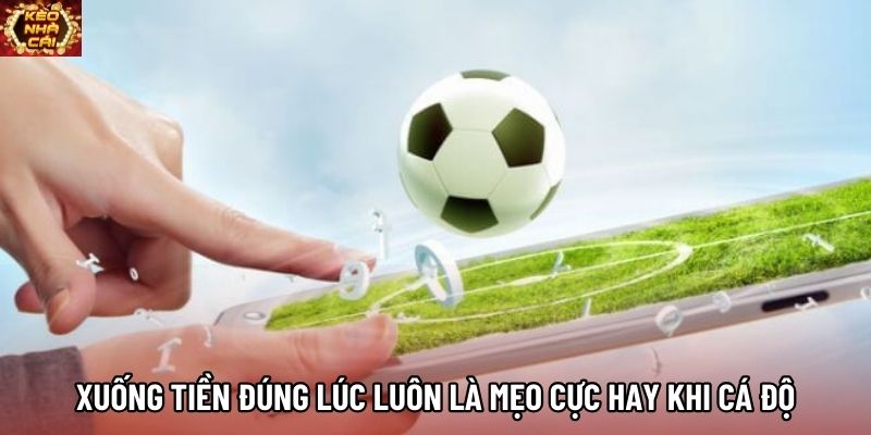 Xuống tiền đúng lúc luôn là mẹo cực hay khi cá độ