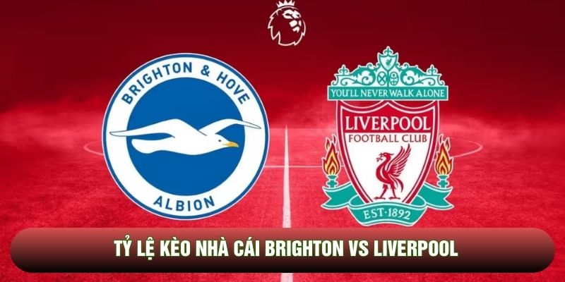 Tỷ lệ kèo nhà cái Brighton vs Liverpool - Ngoại hạng Anh